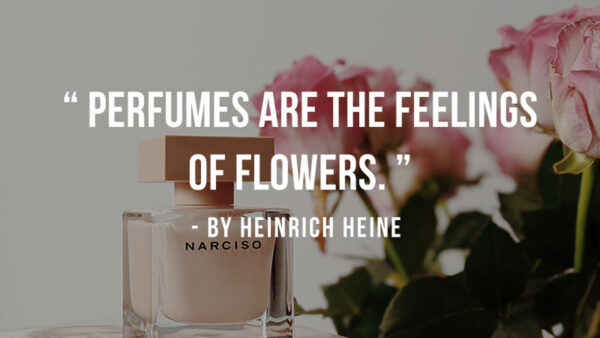 Wallpaper Flowers, Inspirational, Perfumes, Are, The, Feelings