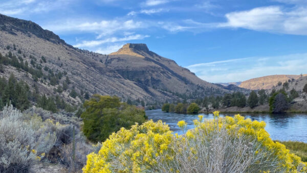 Wallpaper Landscape, River, Blue, Clouds, Green, View, Nature, Under, Sand, Bushes, Sky, Mountains, White, Trees