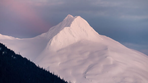 Wallpaper Snow, Mountain, Blue, Sky, Background, Nature, White, Trees, Forest