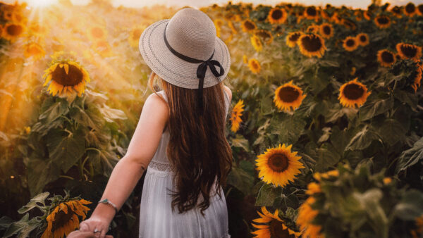 Wallpaper Girl, Sunflower, Park