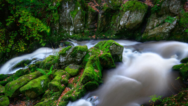 Wallpaper Greenery, Mobile, Stream, Nature, Water, Desktop, Rock