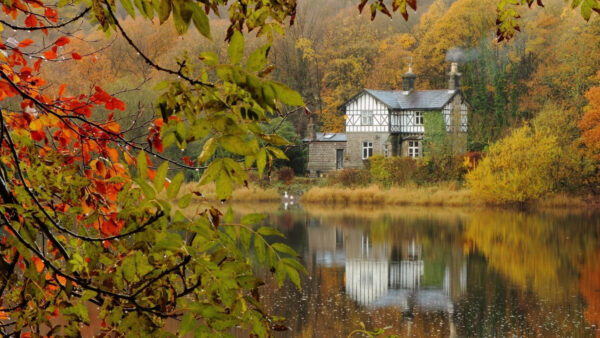 Wallpaper Front, Mobile, Desktop, Body, Water, With, Stone, Leafed, House, Trees, Reflection, Nature, Surrounded