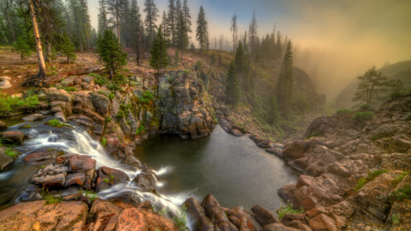 Wallpaper Desktop, Forest, Rocks, Nature, Waterfalls, Between, Mobile