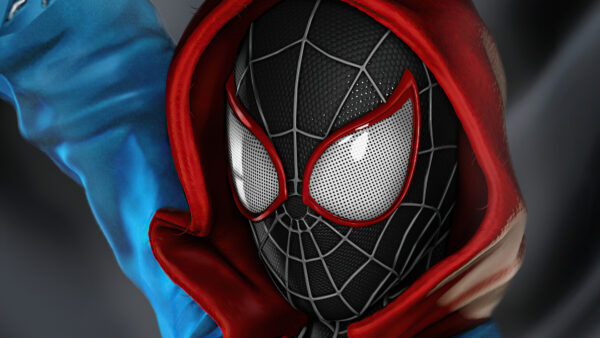 Wallpaper Spider, Morales, Superheroes, Man, Desktop, Costume, Miles