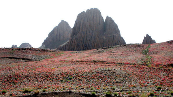 Wallpaper Stone, Algeria, African, Landscape, Africa, N’Ajjer, Mountains, Sahara, Tassili, Hoggar, Rock, Desert