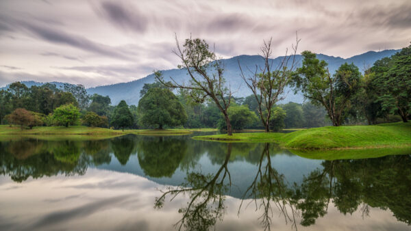 Wallpaper Landscape, Reflection, Lake, Trees, Desktop, Mobile, Mountains, With, View, Nature