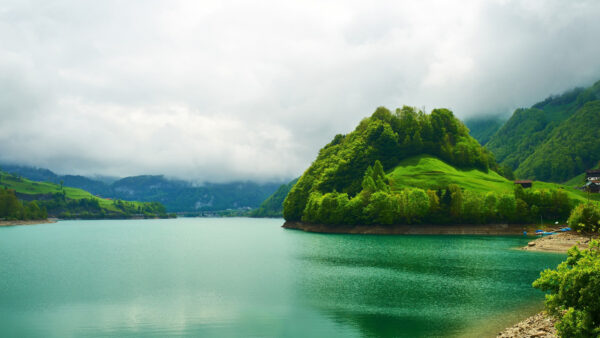Wallpaper River, Mountain, Surrounded, Grass, Slope, Nature, Green, Trees