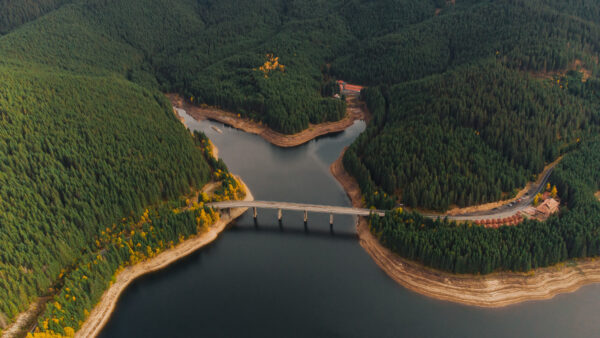 Wallpaper Aerial, Water, Between, View, Green, Nature, Yellow, Trees, Desktop, Mobile, Above, Forest, Autumn, Bridge