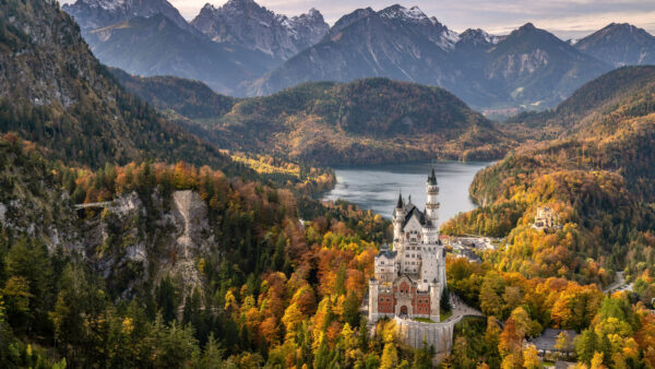 Wallpaper Colorful, Autumn, Nature, Alps, Castle, Trees, Desktop, Neuschwanstein, Bavaria, Germany, Mobile, Mountains