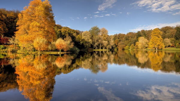 Wallpaper Trees, View, Landscape, Orange, Sky, Blue, Under, Autumn, Yellow, Water, Reflection, Desktop, Mobile, Green, Nature