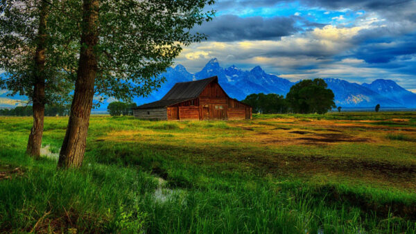 Wallpaper Green, Nature, Field, Hut, View, Grass, Wood, Mountains, Landscape