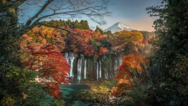 Wallpaper Mount, Falls, Nature, Foliage, Japan, Shiraito, Fuji