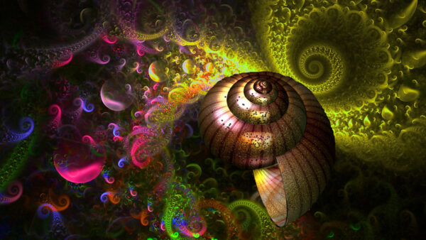 Wallpaper Fractal, Colorful, Shell, Shape, Pattern, Art, Abstract, Design