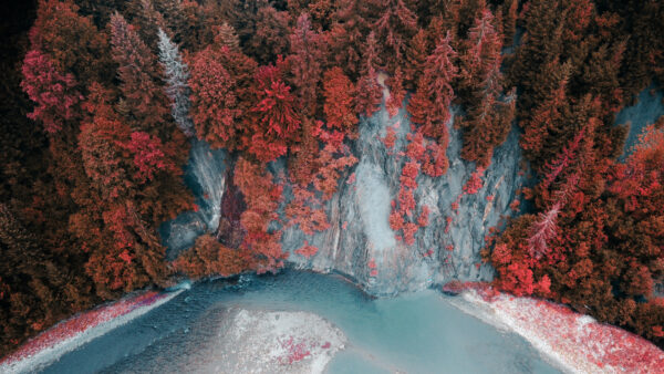 Wallpaper Desktop, Autumn, Nature, Green, Lake, Red, Background, Trees, Forest, Aerial, Mobile, Leaves, View