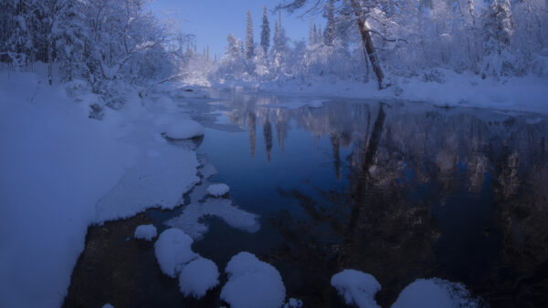 Wallpaper Desktop, Covered, Water, Body, Trees, Winter, Snow, Reflection