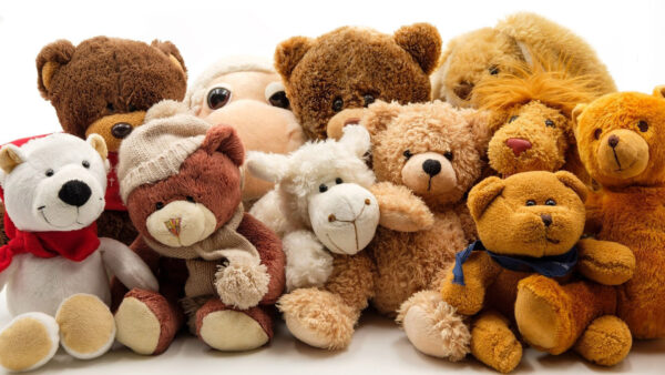 Wallpaper Teddy, Different, Types, Bear, Toys
