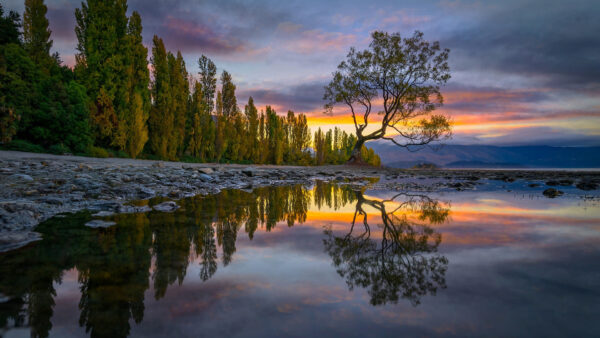 Wallpaper Stones, During, Water, Sky, Reflection, Under, Green, Nature, Sunset, Trees, Blue, Landscape, View