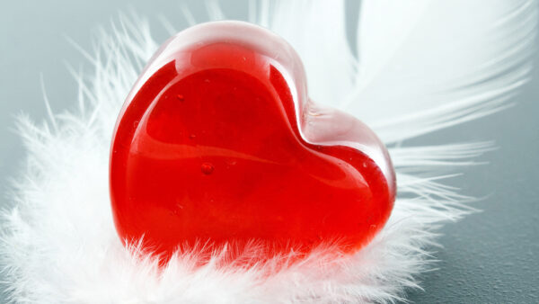 Wallpaper Love, Feather, Red, Heart, White, Glass, Shape