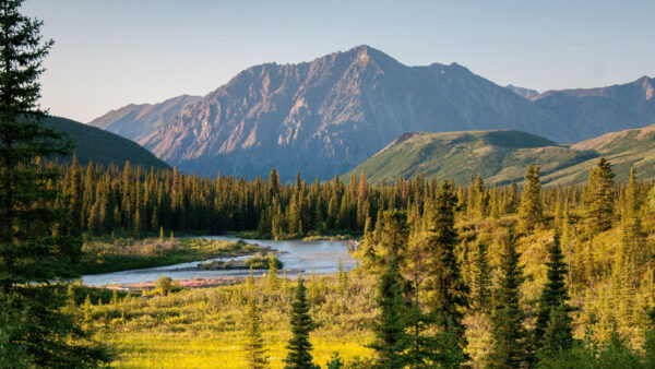 Wallpaper Landscape, River, Surrounded, Background, Bushes, Field, Desktop, View, Mountain, Hills, Mobile, Grass, Trees, Nature