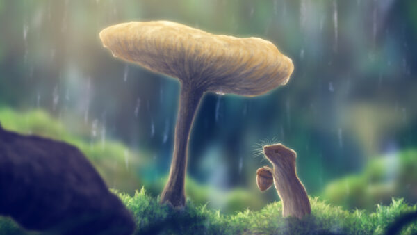 Wallpaper Anime, Background, Mushroom, Nature, Squirrel