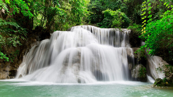 Wallpaper Branches, Nature, Stream, Waterfalls, Background, Green, Forest, Between, Trees, Closeup, View