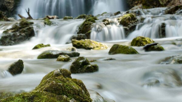 Wallpaper Stones, Background, Waterfall, Nature, Covered, Algae, Stream, Blur, Rocks