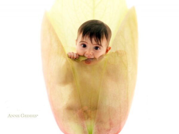 Wallpaper Baby, Anne, Cute, Geddes