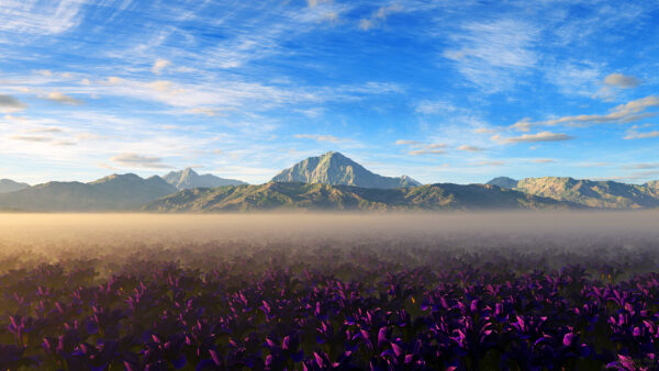 Wallpaper Colors, Nature