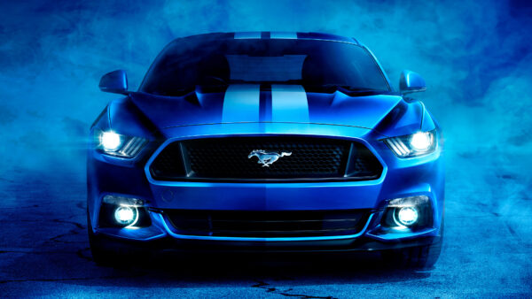 Wallpaper Shelby, Mustang, Ford