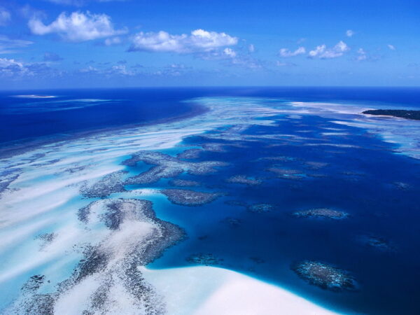 Wallpaper Coral, Australia, Reef