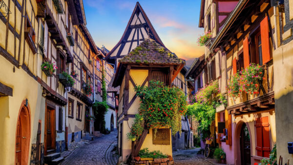 Wallpaper Alsace, Travel, Eguisheim, Colmar, France