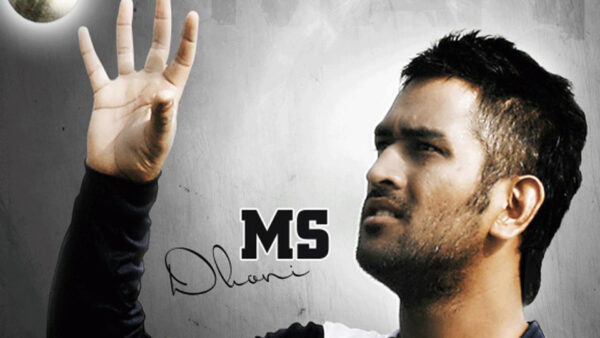 Wallpaper Dhoni, Background, White