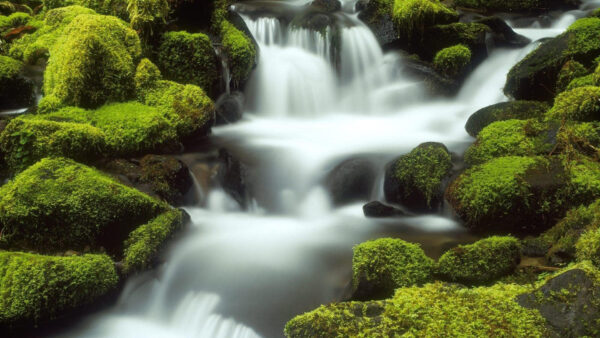 Wallpaper Rocks, Green, Waterfall, Algae, Covered, Nature, Stream