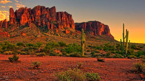 Wallpaper Cactuses, Sunrise, Plants, View, Rocks, Landscape, Nature, Green, Bushes, During, Red