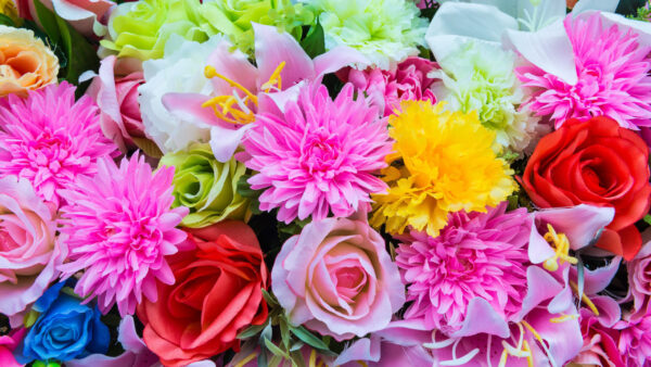 Wallpaper Rose, Bouquet, Flowers, Colorful, Dahlia