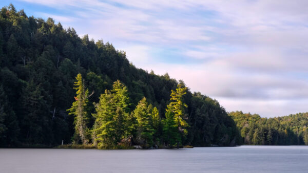 Wallpaper Green, Clouds, Trees, Background, Lake, Forest, White, Under, Blue, Nature, Sky