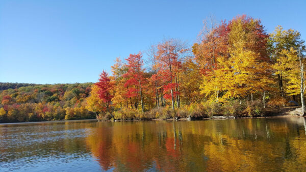 Wallpaper Fall, View, Green, Blue, Reflection, Sky, Autum, Trees, Under, Landscape, Red, River