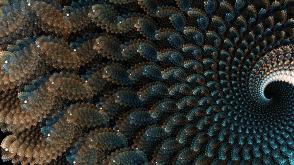 Wallpaper Spiral, Blue, Abstraction, Pattern, Feather, Brown, Abstract