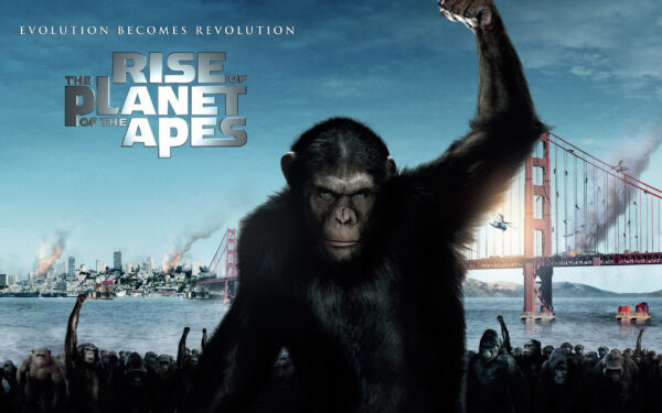 Wallpaper Rise, Apes, 2011, Planet