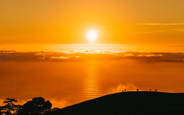 Wallpaper Silhouette, Sunset