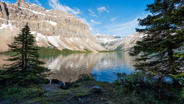 Wallpaper Landscape, Between, Nature, Covered, Lake, During, Palm, Green, Mobile, Daytime, Mountain, Desktop, Trees, Snow, Front