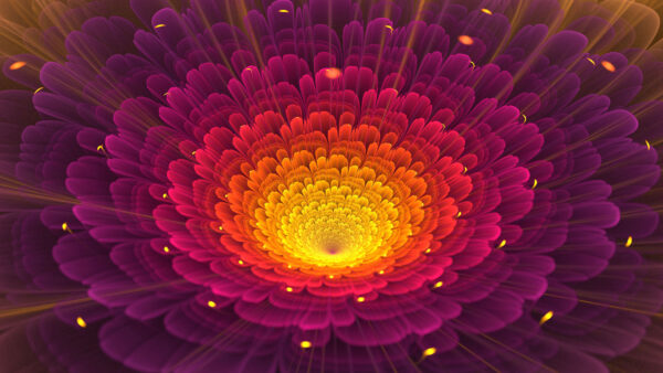 Wallpaper Flower, Purple, Mobile, Yellow, Desktop, Red, Fractal, Glow, Abstract