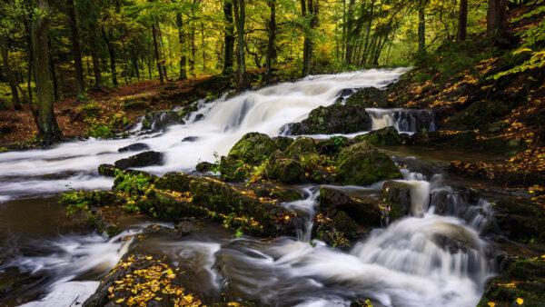 Wallpaper Waterfall, Covered, Rocks, Algae, Stream, Desktop, Trees, Between, Green, Nature, Mobile, Forest