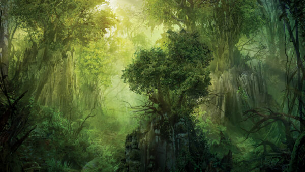 Wallpaper Desktop, Fantasy, Forest, The, Gathering, Rock, Magic, Trees, And