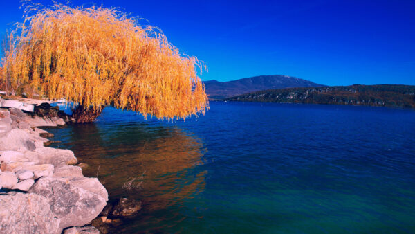 Wallpaper Leaves, Branches, Tree, Water, Blue, Reflection, Yellow, Background, Dark, Sky, Rocks, Nature