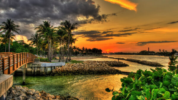 Wallpaper Yellow, Sunset, Bridge, Plants, Leaves, Nature, During, Trees, Under, Water, Green, Clouds, Wood, Palm, Sky, Above, Black