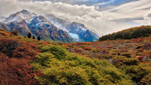 Wallpaper Desktop, Green, Blue, Trees, Covered, Bushes, Landscape, Clouds, Mobile, Nature, View, Sky, White, Mountains, Snow, Under