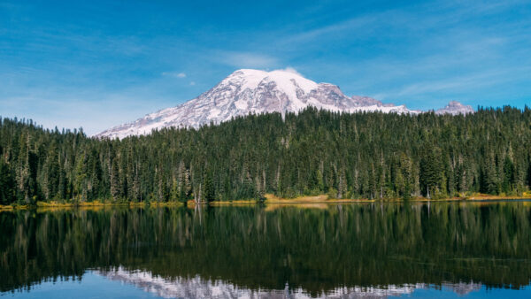 Wallpaper Under, Desktop, View, Spruce, Covered, Landscape, Sky, Nature, Snow, Forest, Blue, Reflection, River, Mountains, Trees, Mobile