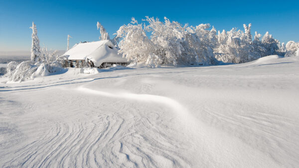 Wallpaper Frozen, Field, Snow, Background, Hut, Nature, Trees, Blue, Sky