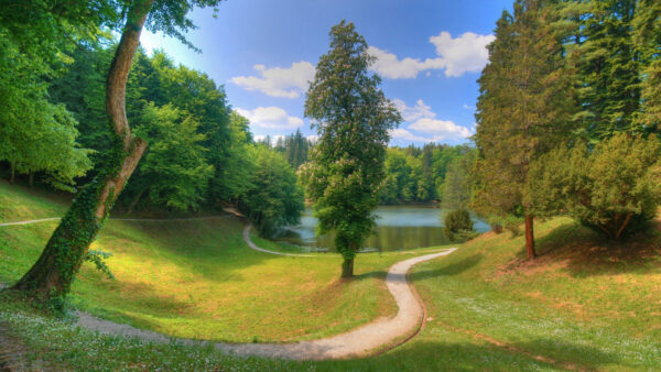 Wallpaper Trees, Between, Background, Field, Blue, Green, Lake, Under, Forest, Clouds, Road, Sky, White, Grass, Fall